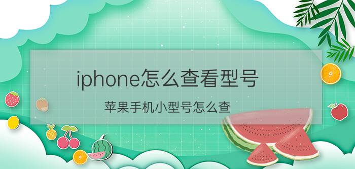 iphone怎么查看型号 苹果手机小型号怎么查？